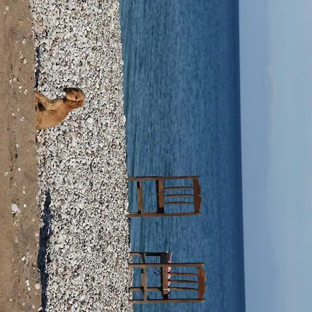 Esralina * Cirali